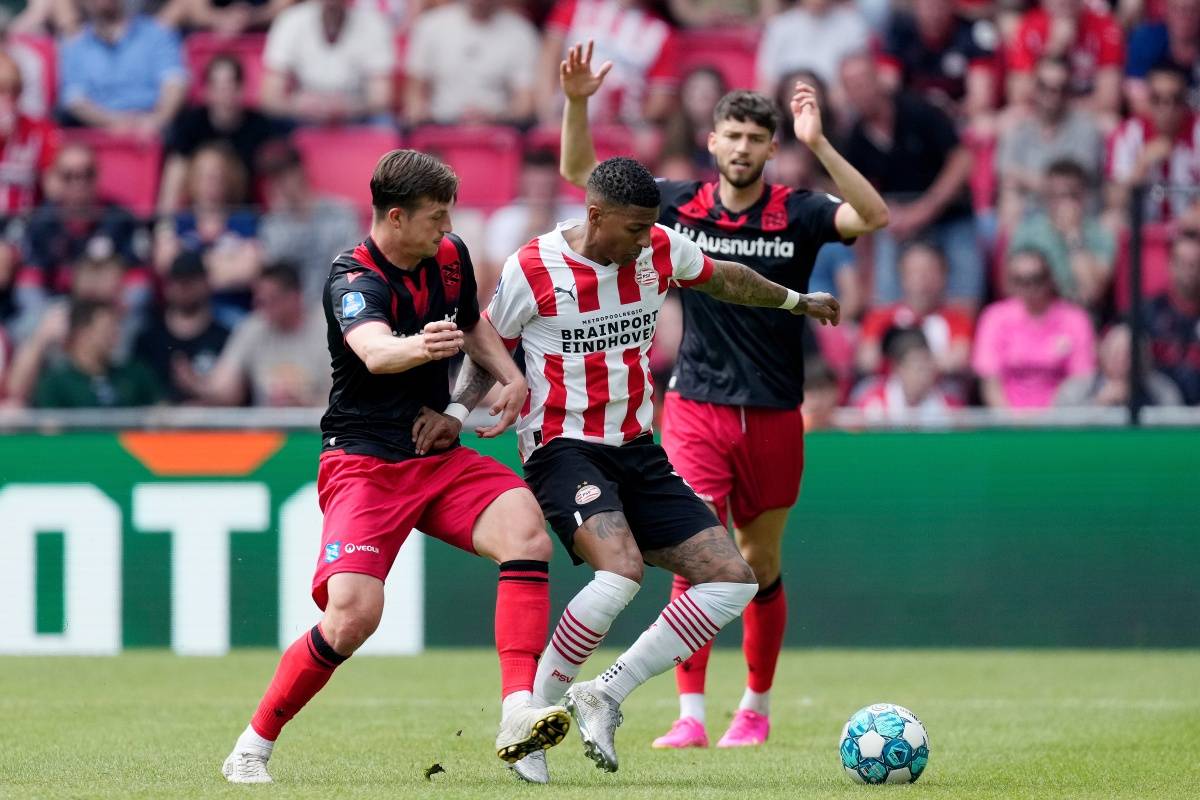 以其稳健的 以其稳健的